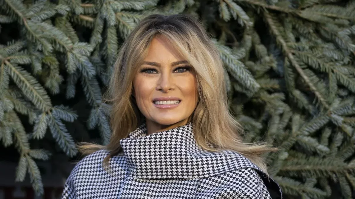 Donald Trump Melania Trump court hearing Stormy Daniels Madeleine Westerhout details about their marriage