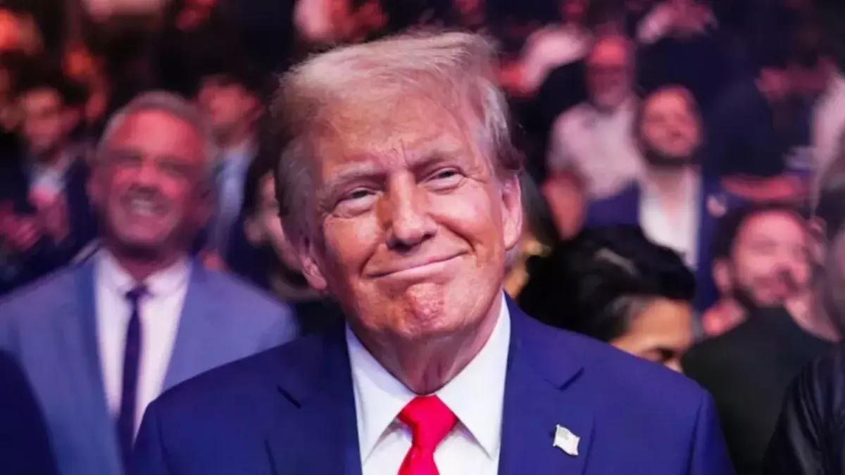 Donald Trump wants buy island Greenland Denmark responds