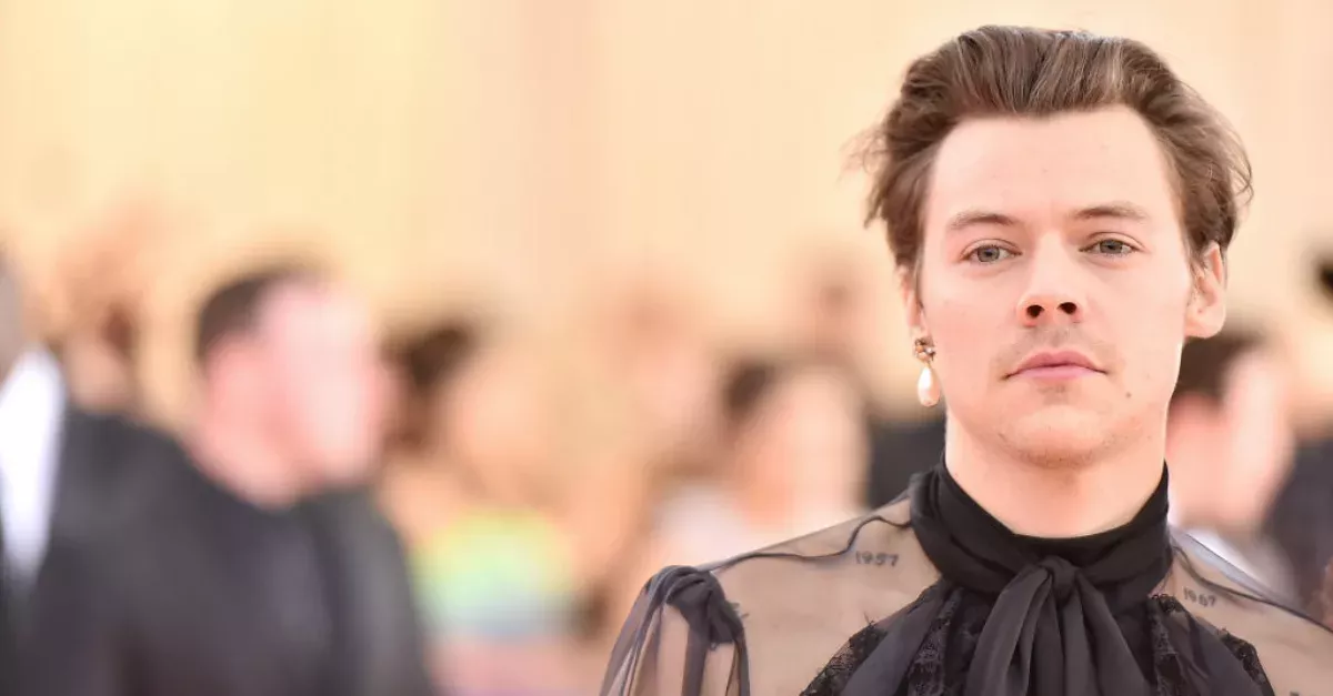 Harry Styles Didn't Get Into Drugs Until After One Direction