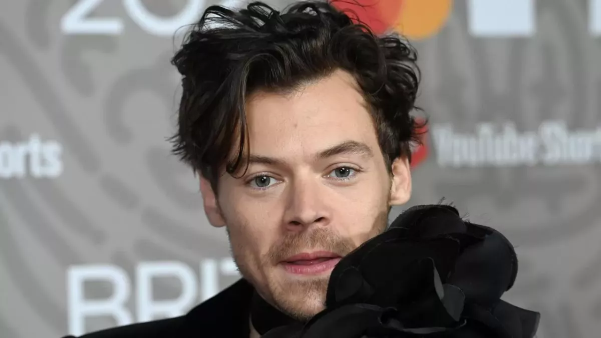 Harry Styles stalker Mary Carvalho 8000 cards imprisonment restraining order