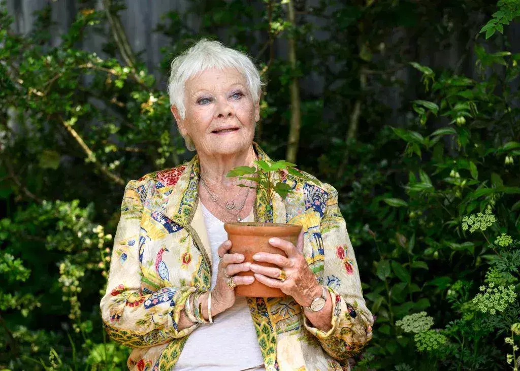 "I don't recognise anyone": how Judi Dench copes with losing her sight at 90