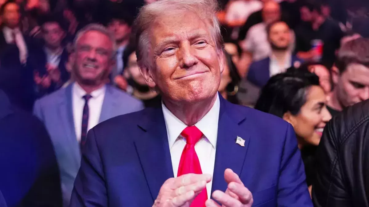 member German far-right party AfD congratulates Donald Trump victory