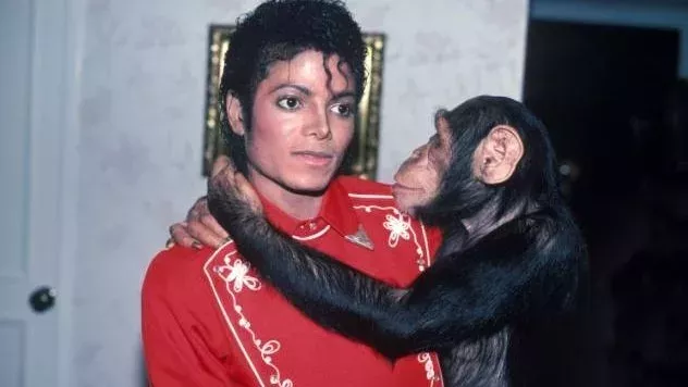 MJ