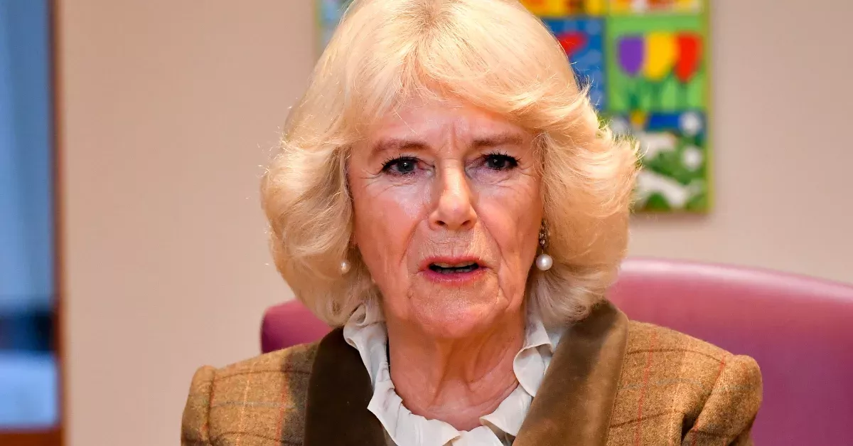 The Duchess Of Cornwall's Shady Reaction When Asked If She'll Miss Prince Harry And Meghan
