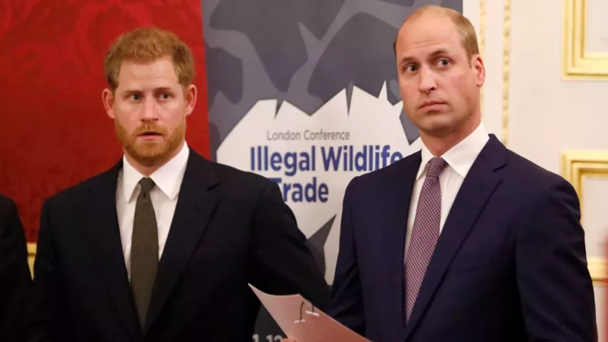 Harry and William