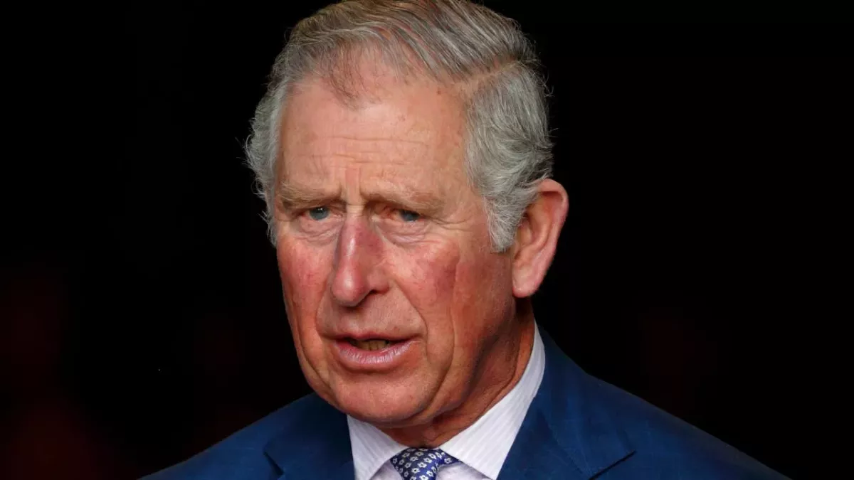 King Charles to star in this upcoming TV show