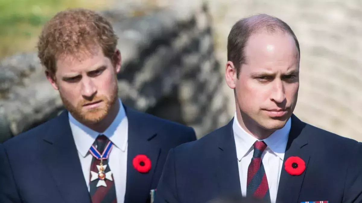 Prince Harry Prince William mourning Lord Robert Fellowes