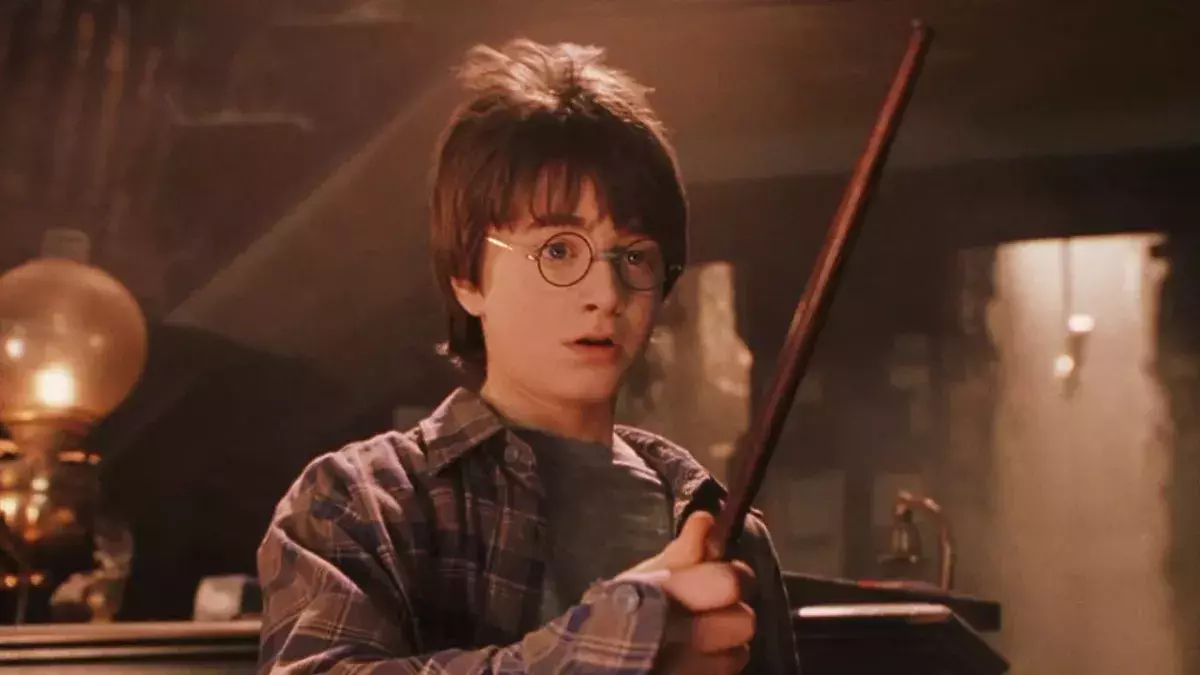 Harry Potter fans astounded as subtitles reveal what Dudley really said in this epic scene