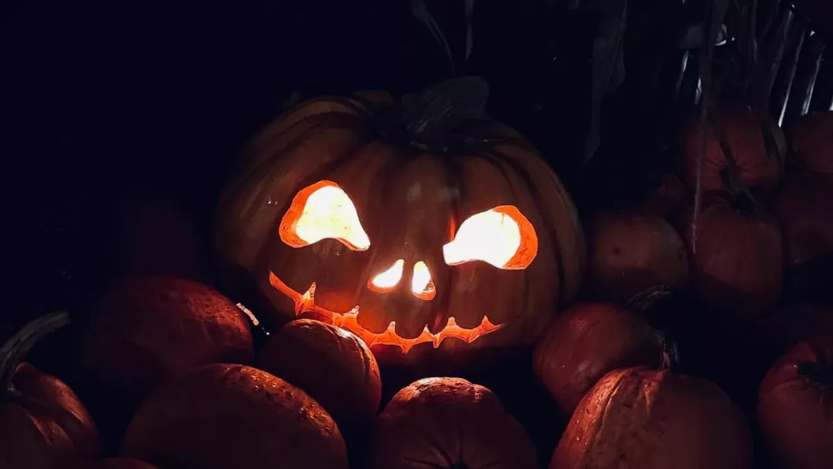 Netflix's new releases in October: Here are 4 movies you shouldn't miss