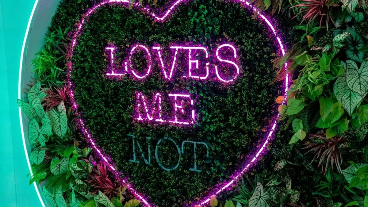 Winter Love Island: Two Islanders get dumped from the villa ahead of Casa Amor