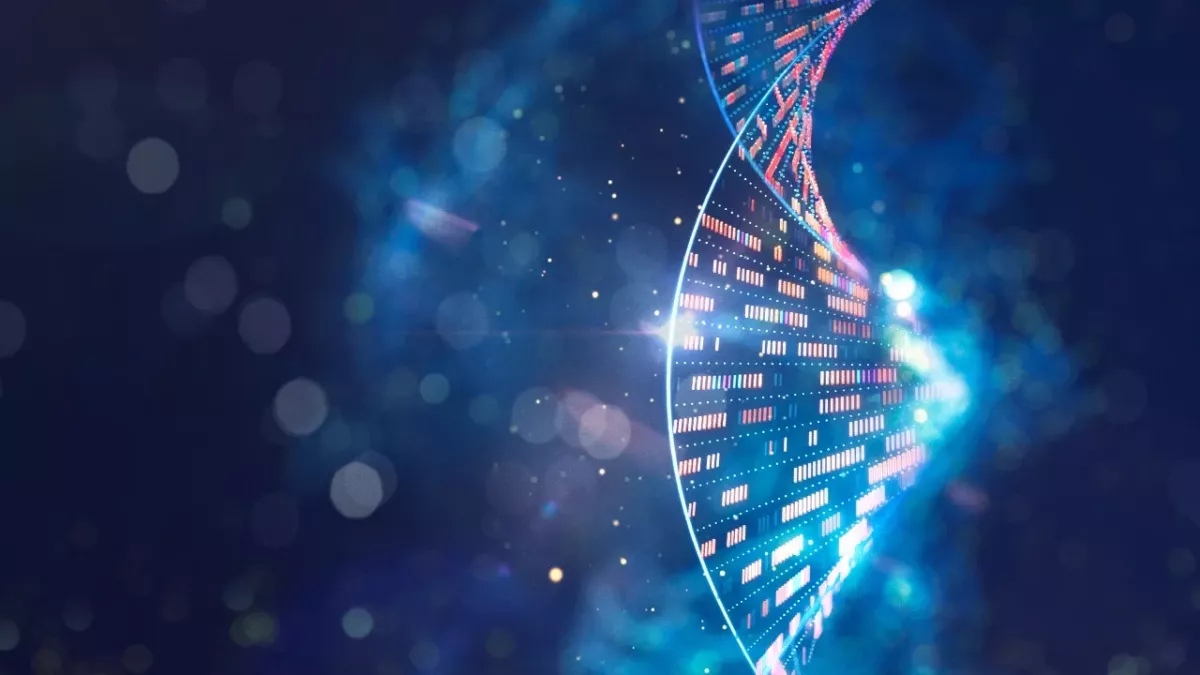 Baba Vanga 2024 predictions