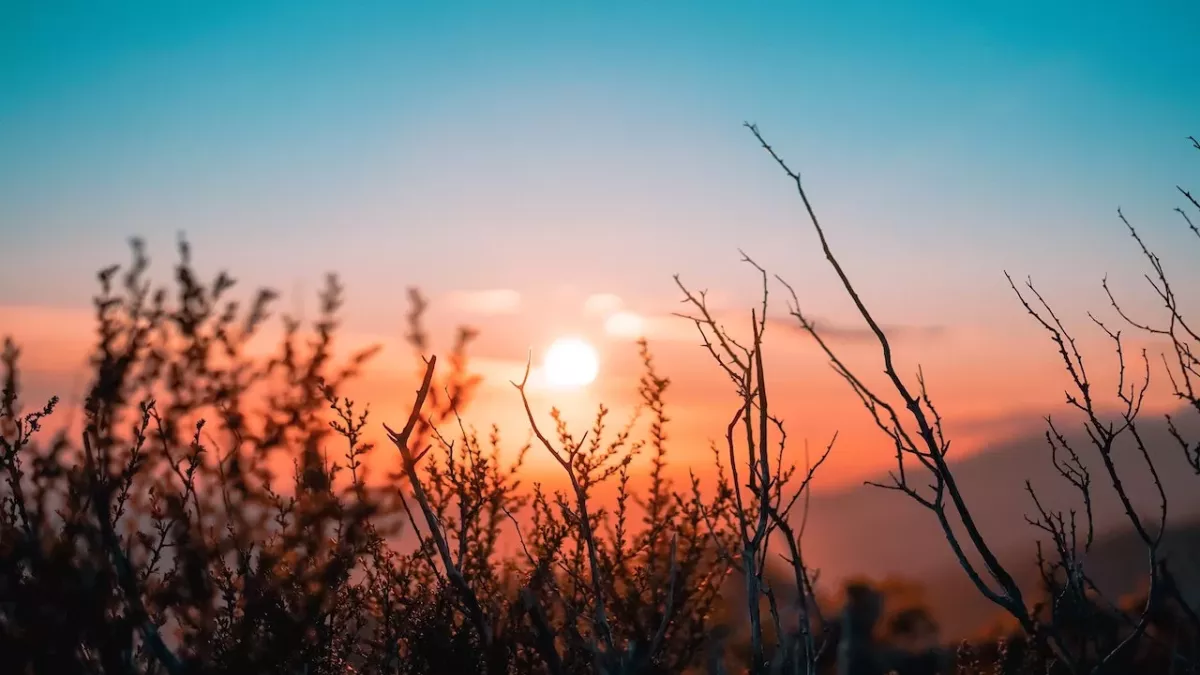 Capricorn, Aquarius, Pisces: This is what your rising zodiac sign says about you