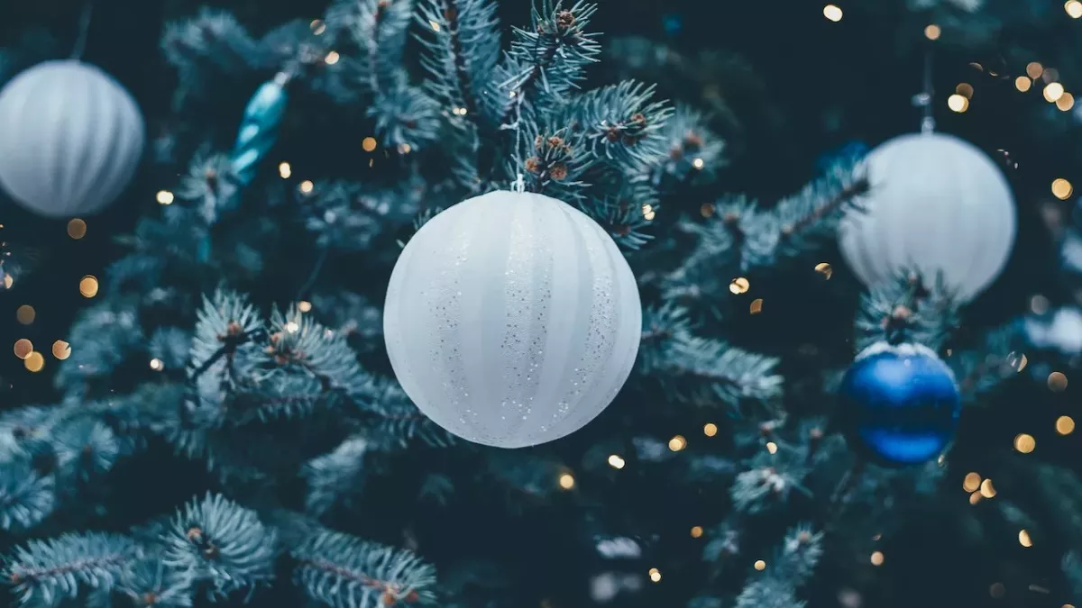 Sagittarius, Capricorn, Aquarius, Pisces: These are the perfect Christmas songs according to your zodiac sign 
