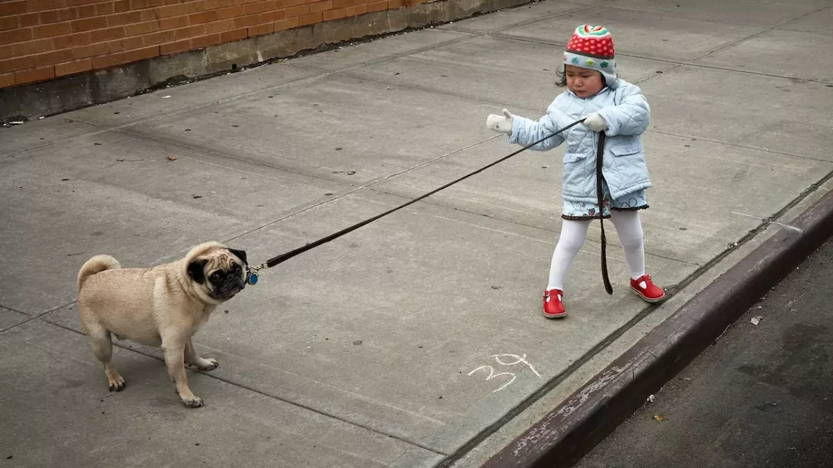 These are the 5 most stubborn zodiac signs