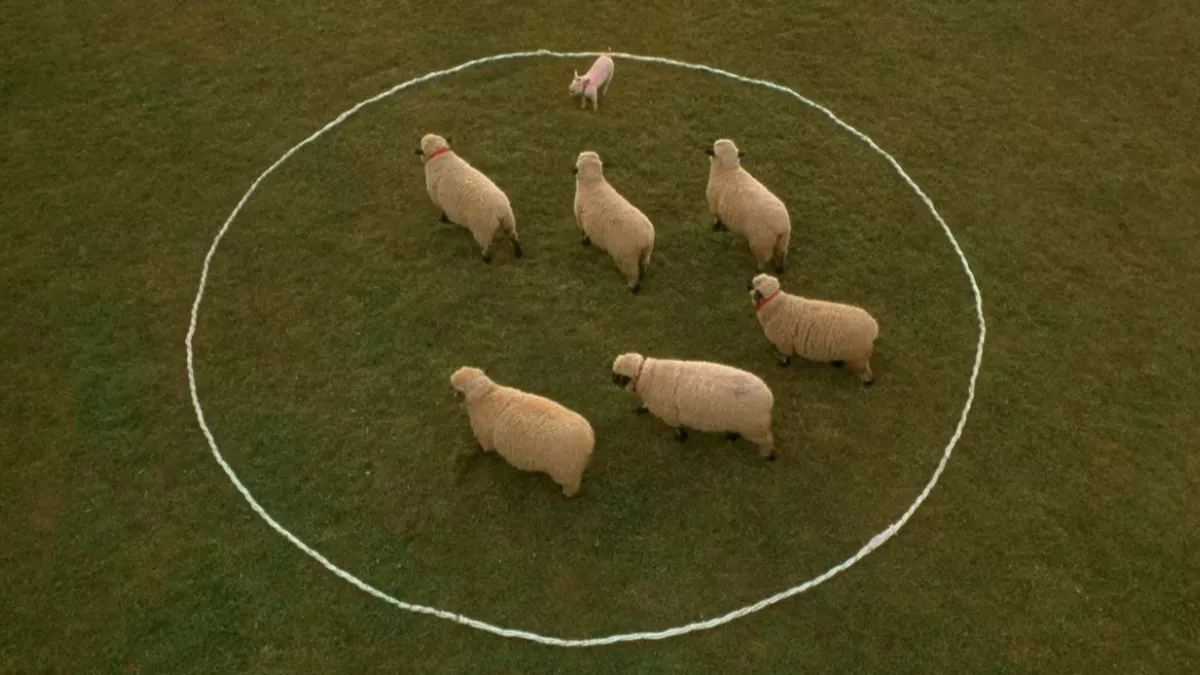 These are the most obedient zodiac signs