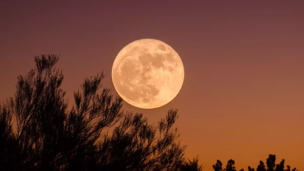 What you need to know about the Full Moon in Aries on October 9, 2022