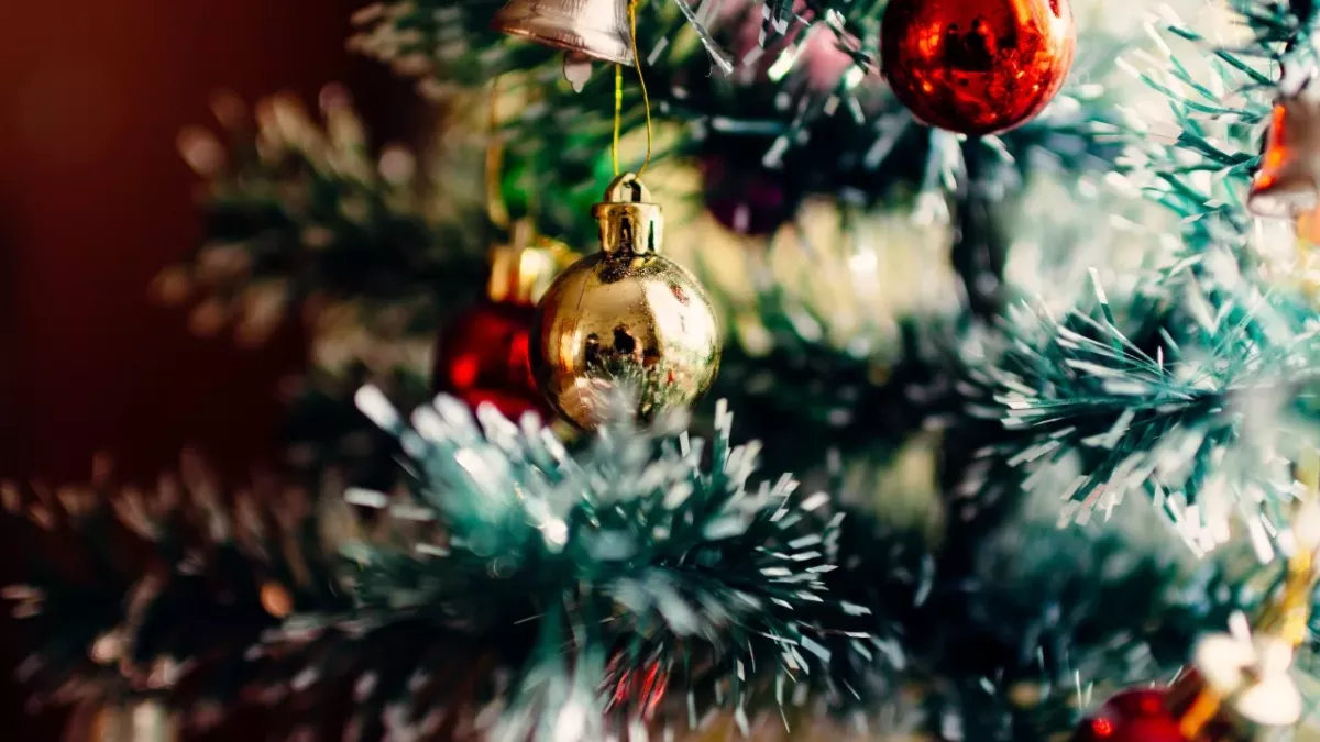 zodiac signs astrology Christmas