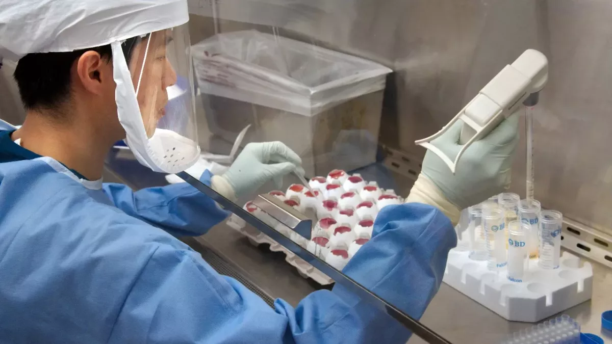 British 'Prophet of Doom’ says we’ll have another pandemic, this is where it will start