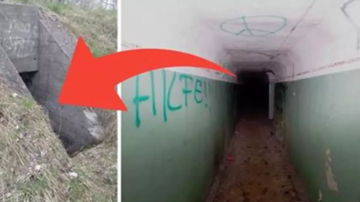bunker