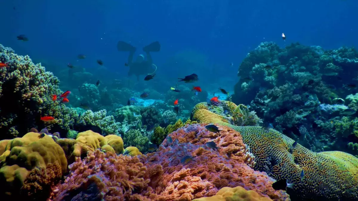 Climate change: Scientists have discovered a new predator that could help fight climate change