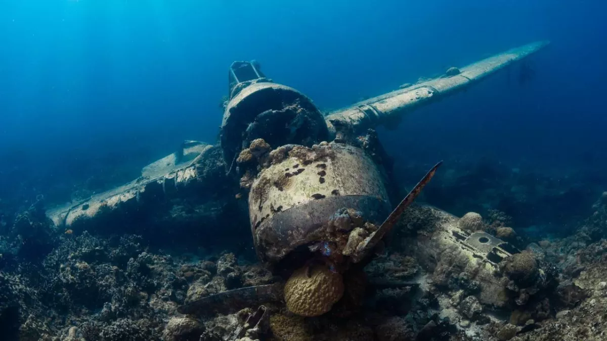 Divers unravel unexpected find at the bottom of the Ocean