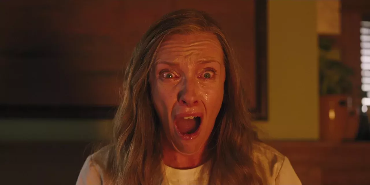 experts warn exotic jumping spiders breeding fast UK species