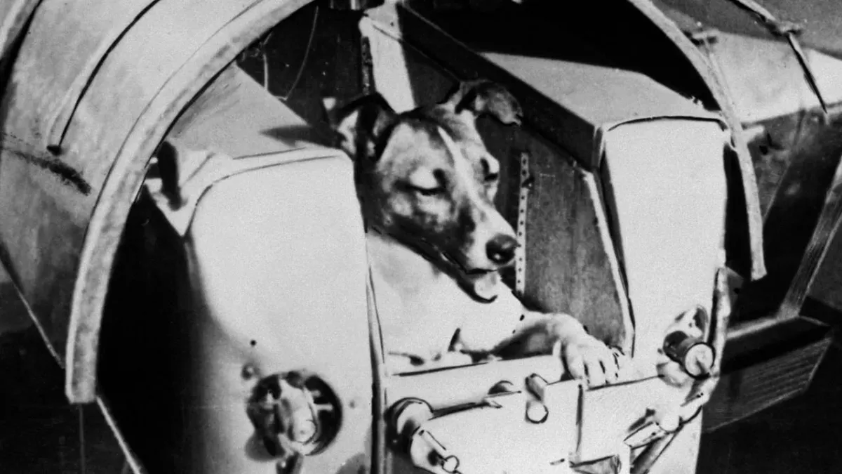 'The first dog in space': The dark reality of what happened to Laika