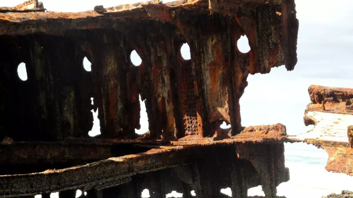 Mysterious 500-year-old ship from the Elizabethan era discovered on English Channel coast