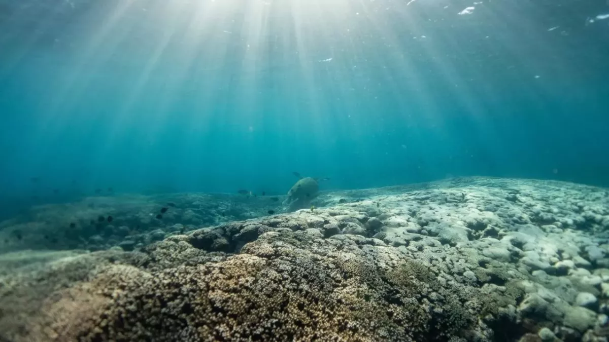 Mysterious holes discovered 2,500 metres deep in the Atlantic Ocean ...