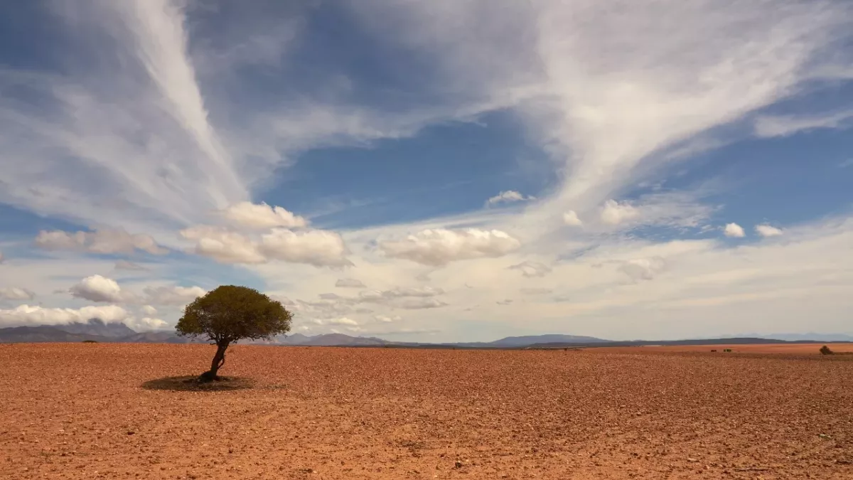 NASA reveals why 2024 could be the hottest year ever