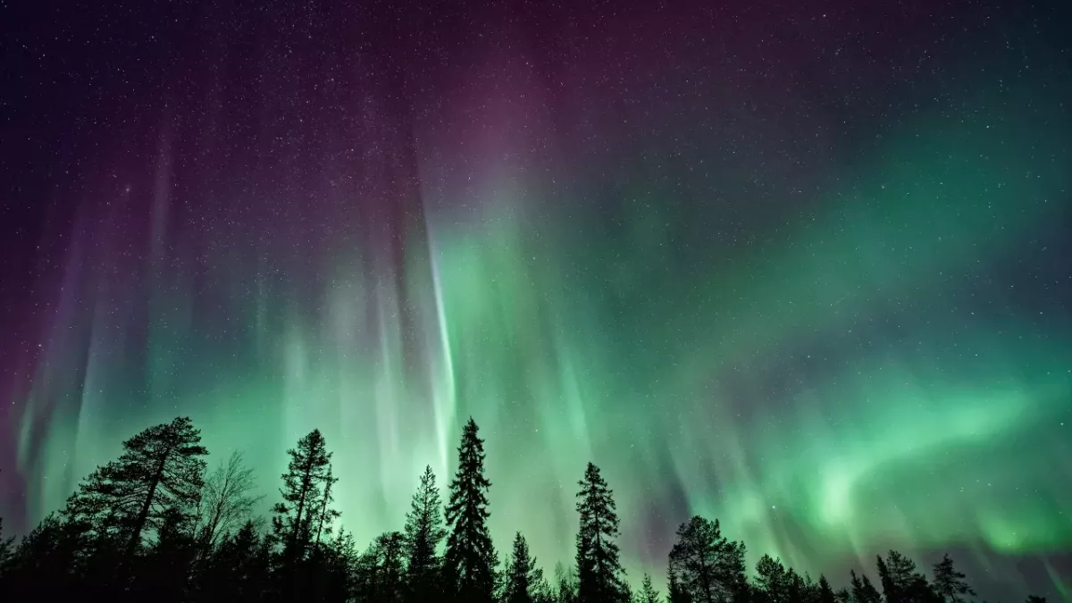 northern lights green aurora borealis science sky