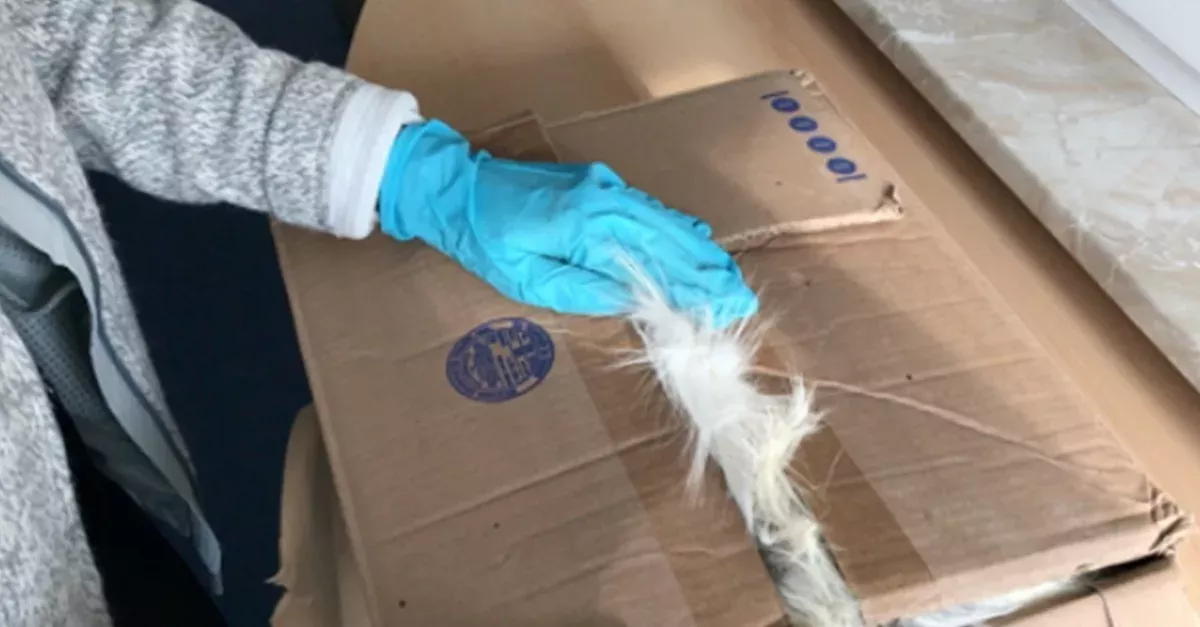 Package