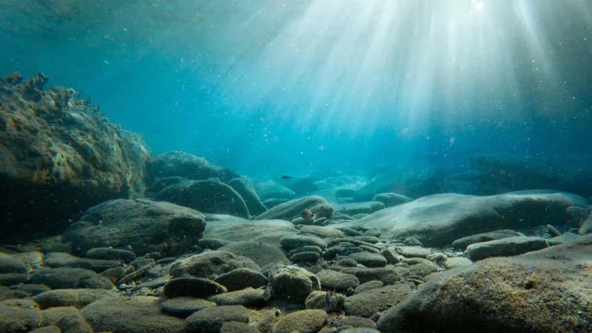 Scientists discover a hole at the bottom of the ocean and it could have damaging consequences