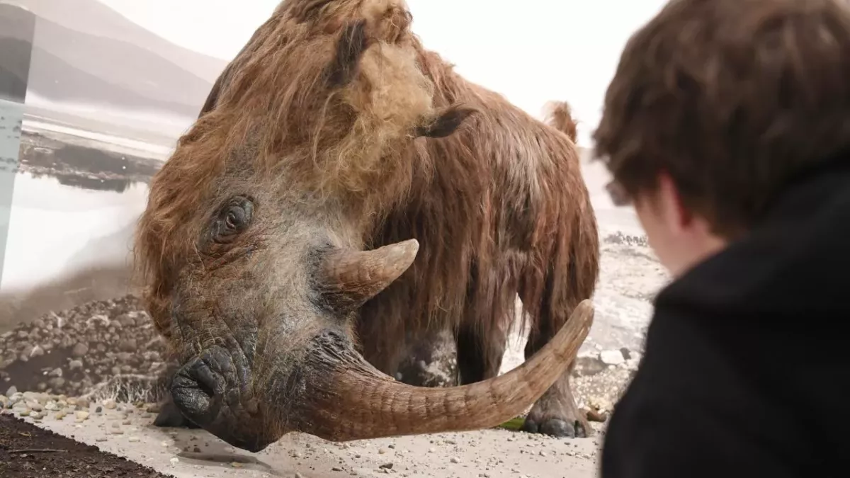 Scientists make unexpected discovery inside 14,000-year-old frozen puppy