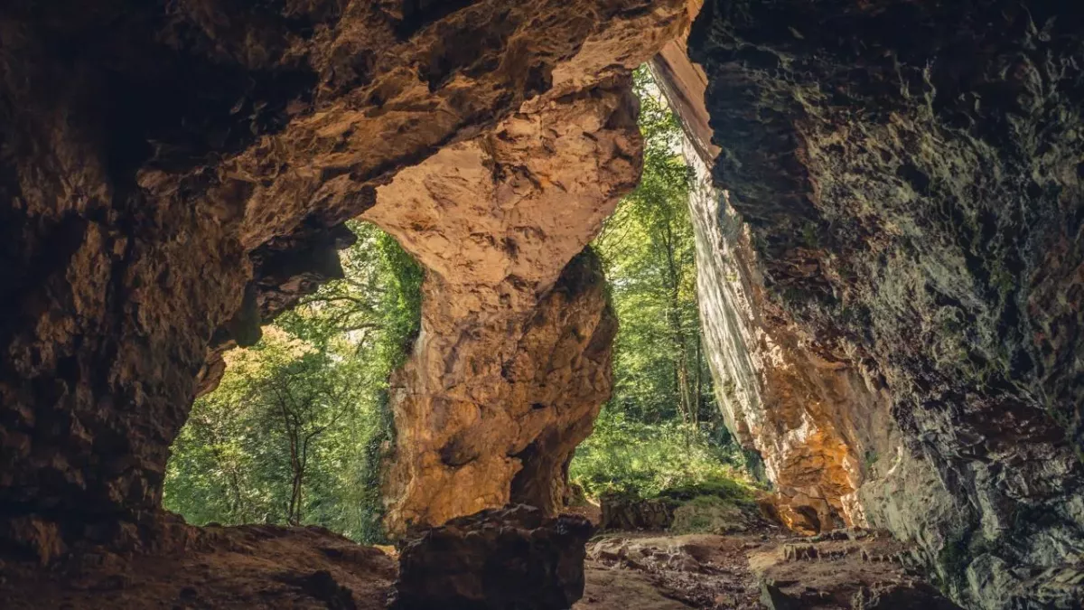 Secret cave discovered, thanks to 35,000-year-old animal poop