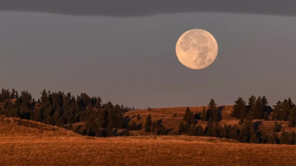 September’s Harvest Moon 2022: How and where to see it