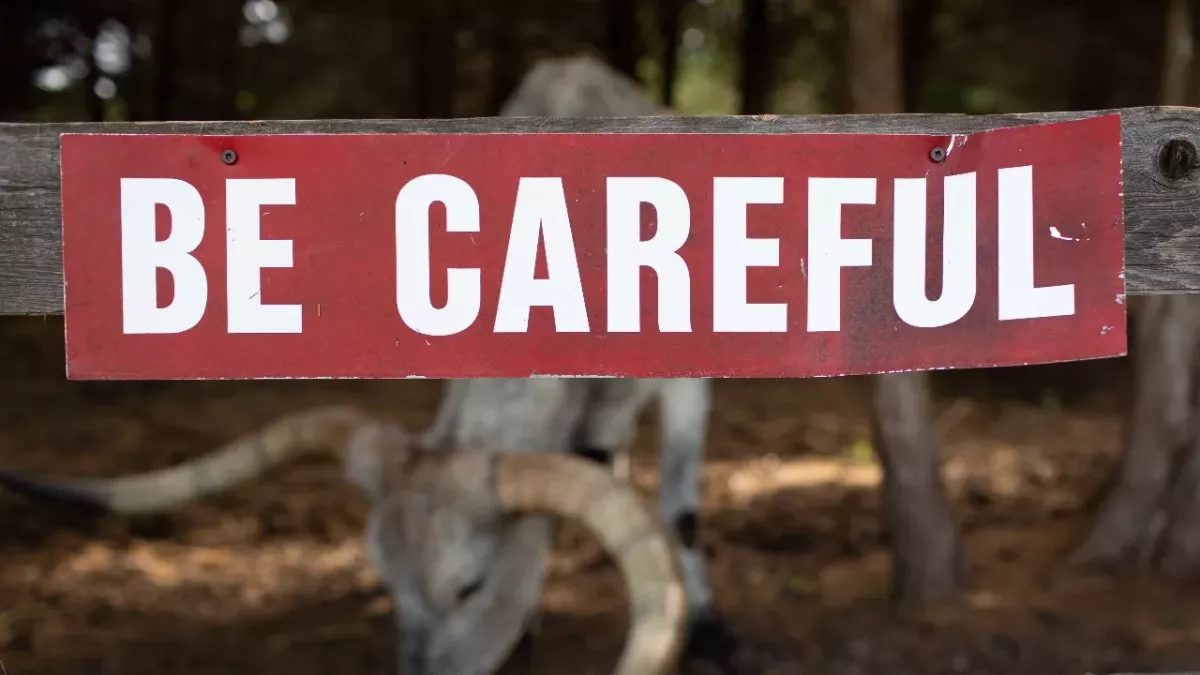 This killer insect set to invade the UK, here’s how to protect yourself