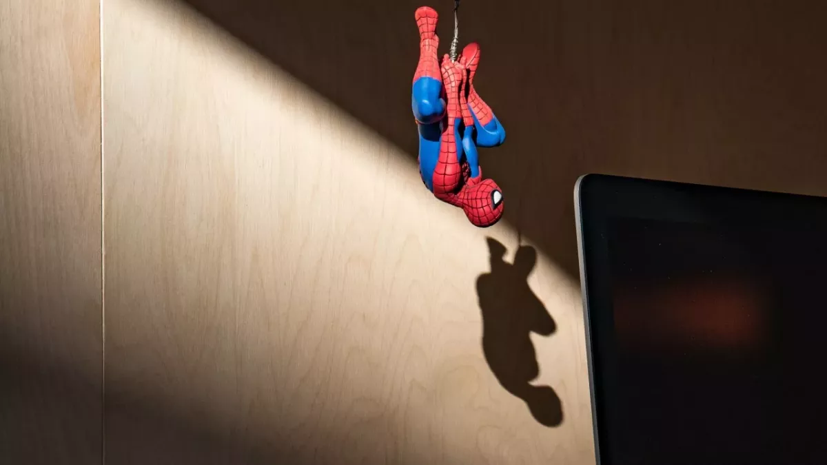 8-year-old boy lets black widow spider bite him so he can become Spiderman