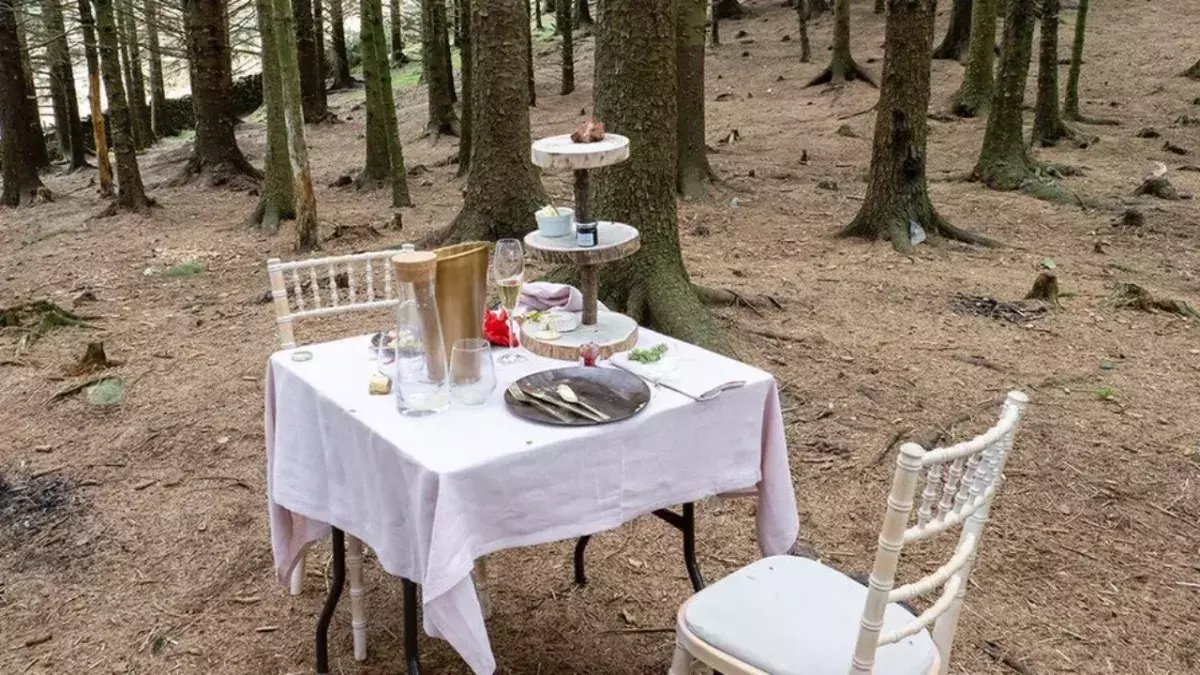 Abandoned table for two found in the woods of Lake District