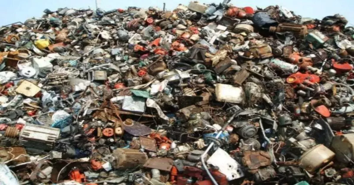 Can You See The Cat In This Photo? Not Many People Have Managed To Find It