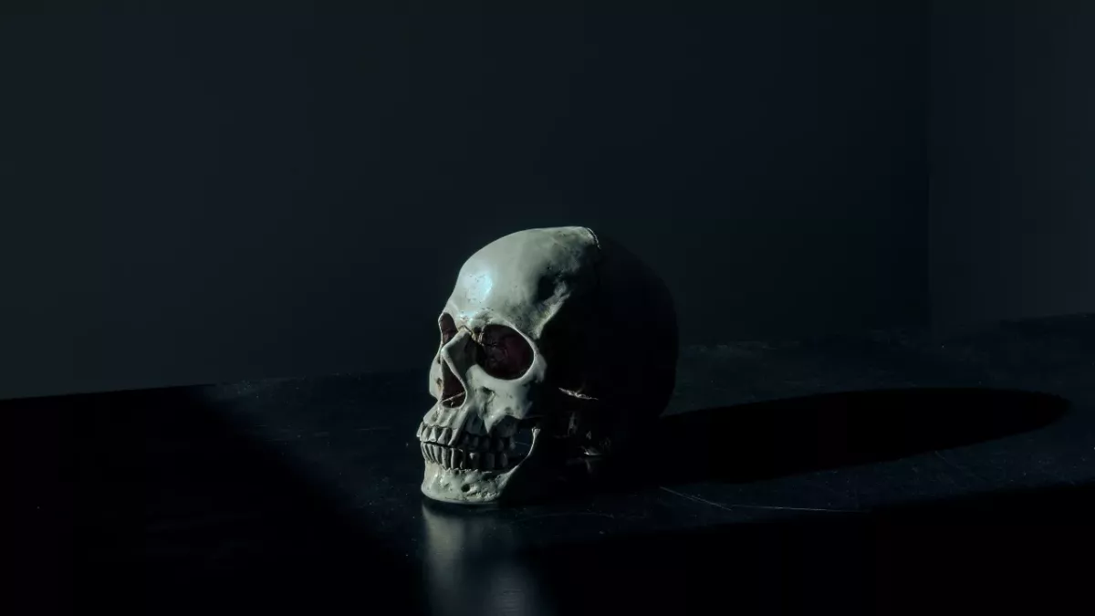 cannibalism paleolithic archeology