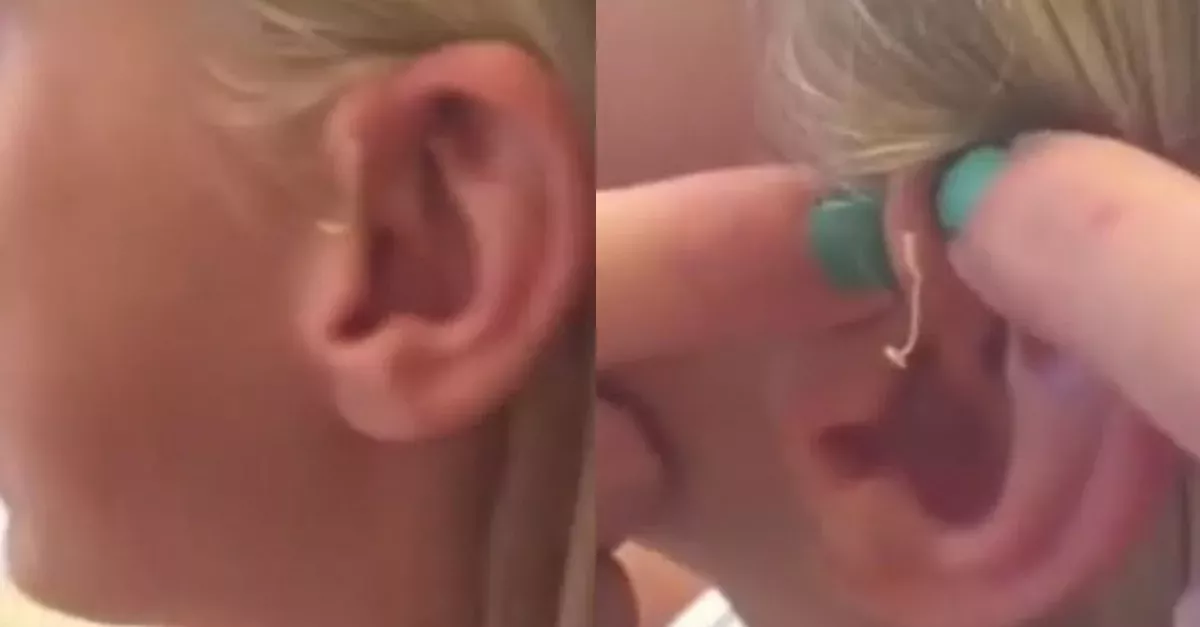 Captivating to watch.