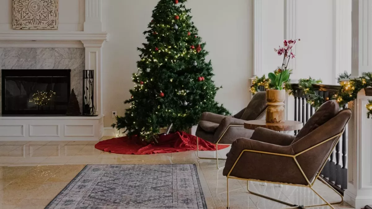 Christmas tree time dispose winter