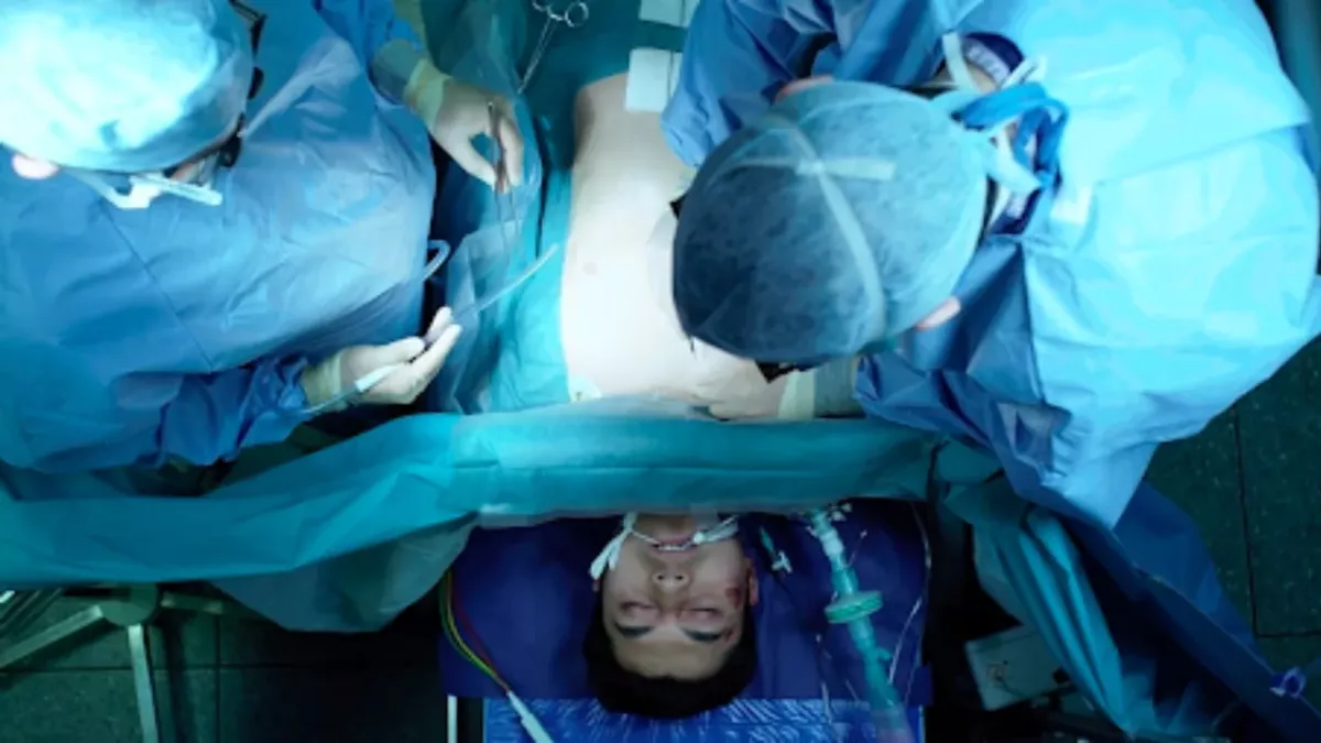DMT Near Death Experiences