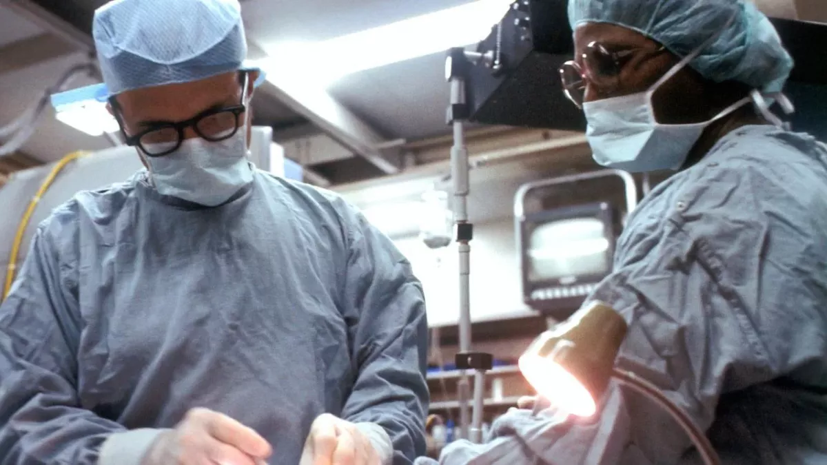 doctors find intact housefly inside man's intestine