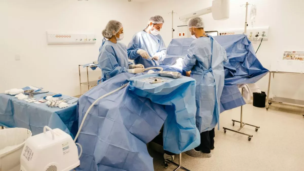 Doctors find parasites inside man's stomach routine surgery