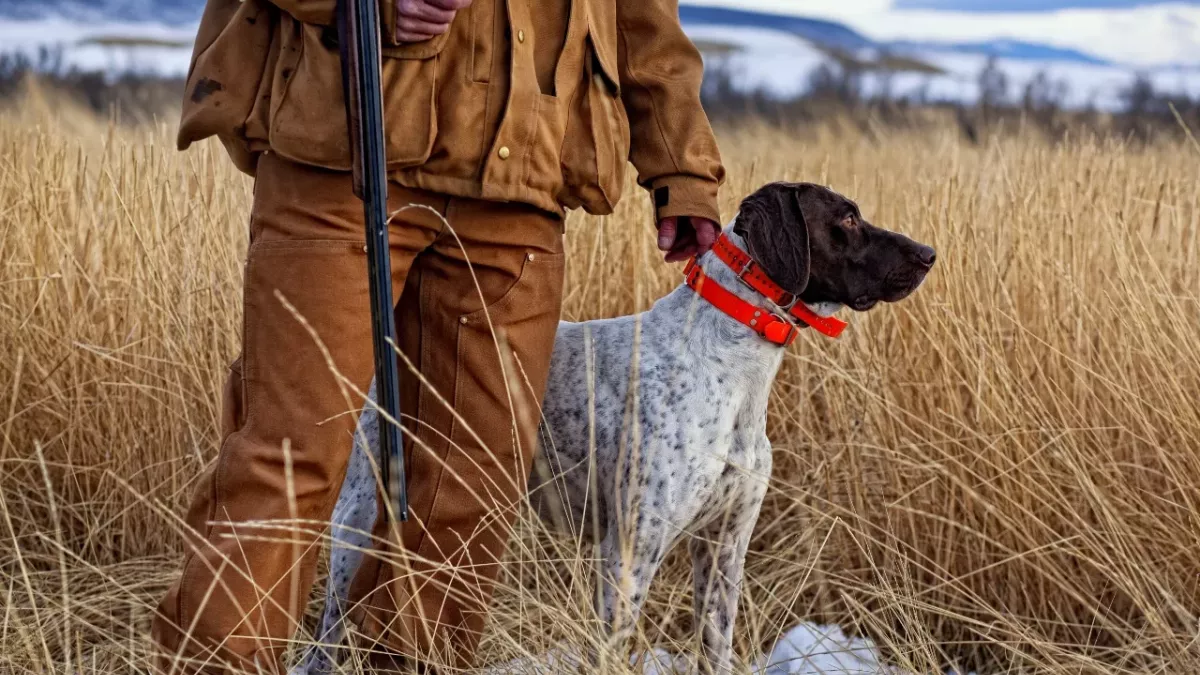 dog accidentally shoots owner hunting gun 