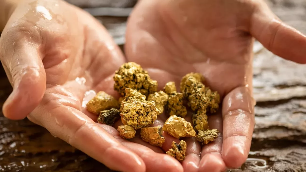 heaviest gold nugget ever discovery worth £2m