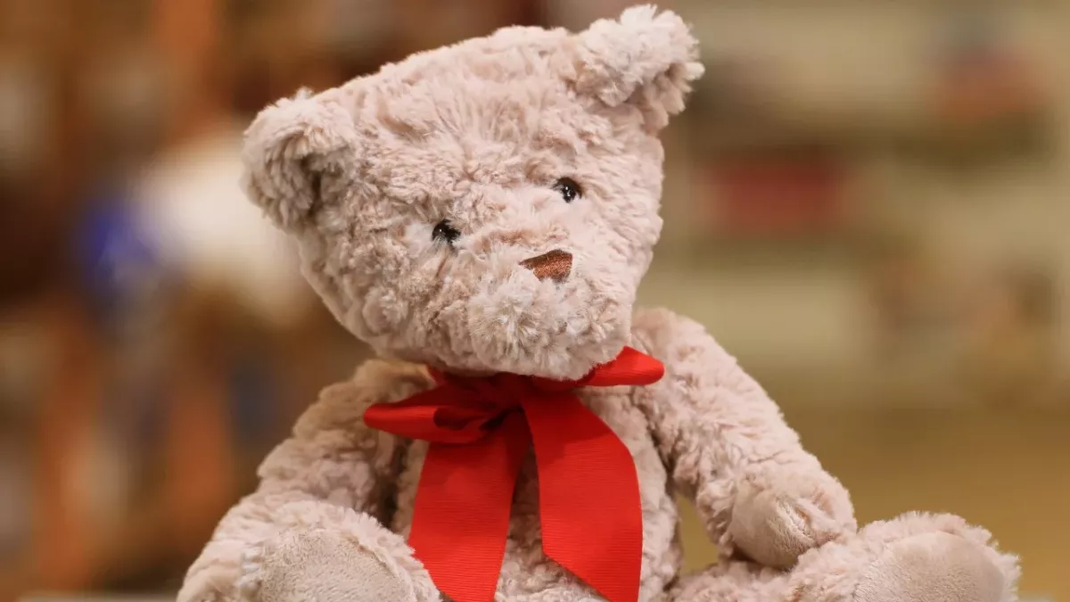 A judge in Australia grants a foster child an unusual request 