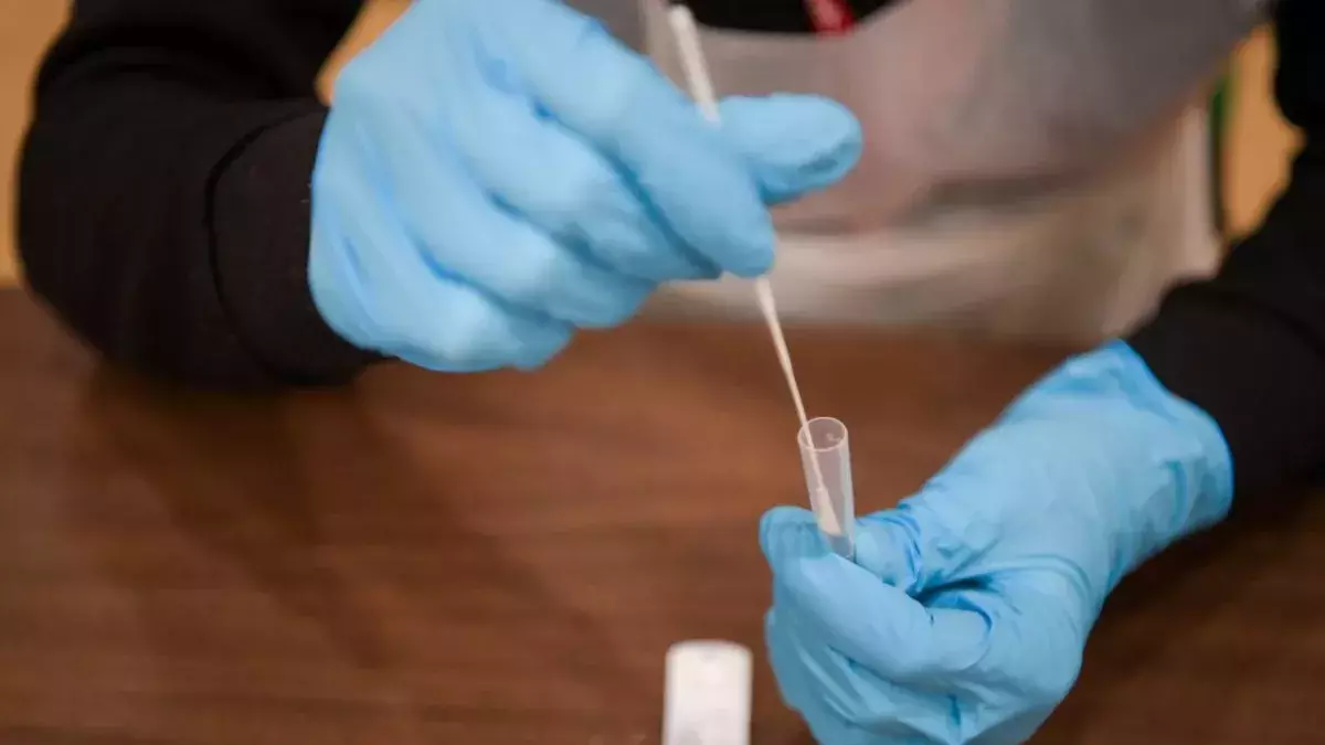 Person horrified to find slug in lateral flow test tube